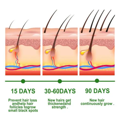 Bottle of pure rosemary essential oil for hair growth UAE